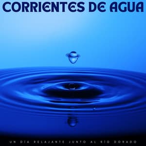 Corrientes De Agua: Un Día Relajante Junto Al Río Dorado - Centro de Efectos de Agua