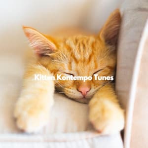 Kitten Kontempo Tunes - Relaxing Coffee Shop