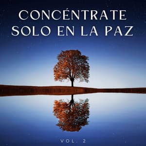 Concéntrate Solo En La Paz Vol. 2 - Paz Interior