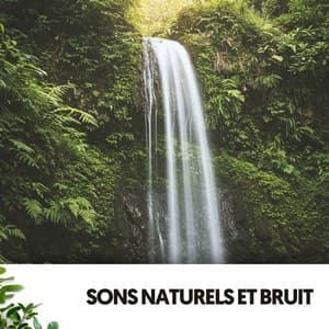 Sons Naturels et Bruit: Mélodies de l'Eau - Ruido Blanco Hart