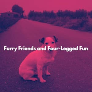 Furry Friends and Four-Legged Fun - New York Jazz Trio