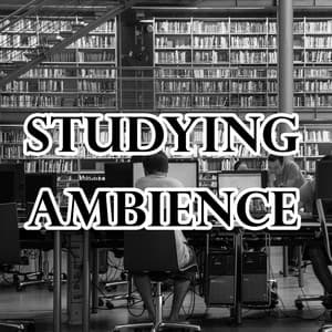 Studying Ambience - White Noise Research