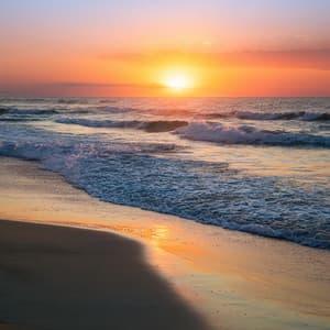 Música Relajante Para Gatos Tranquilos - La vida en Legato