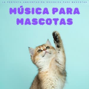 Música Para Mascotas: La Perfecta Ambientación Oceánica Para Mascotas - Ruido De Colores