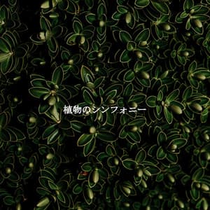植物のシンフォニー - Musik zum Lernen