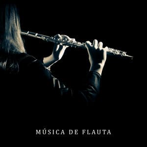 Música de Flauta: Relajación, Meditación, Spa, Armonía y Equilibrio - Ambiente Relajante de Música