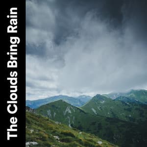 The Clouds Bring Rain - Meditation Rain Sounds