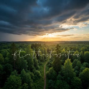 After the Stress Storm - Tranquility Spree