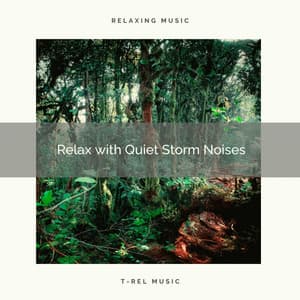 Relax with Quiet Storm Noises - Rain Ambience