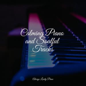 Calm Melodies | Complete Serenity - Piano para Dormir