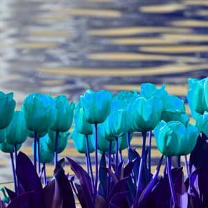 Incredible Jazz Piano Duo - Background for Cool Trips - Musique pour Travailler Playlist