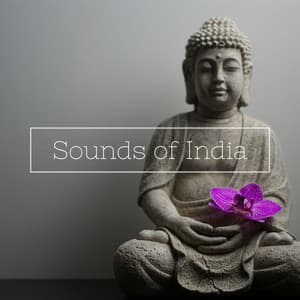 Sounds of India: Meditation with Sitar, Ragas, Tabla, Bansuri, Nature Sounds - Indian Music Prime