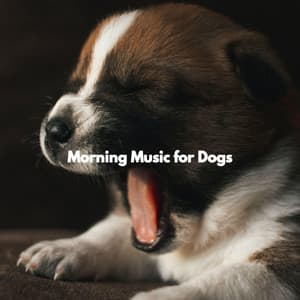 Morning Music for Dogs - Doggy Relaxing Sounds