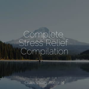 Complete Stress Relief Compilation - Calm Shores