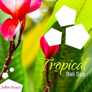 Tropical Bali Spa - John Peace