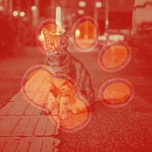 Music for Comfy Cats - Cat Music Therapy