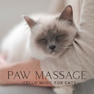 Paw Massage: Cello Music for Cats, Serenity Pet Melodies - Pet Music Academy