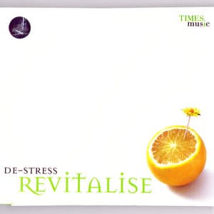 De-Stress Revitalise - Salil Bhatt