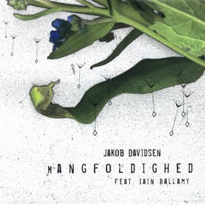 Mangfoldighed - Jakob Davidsen