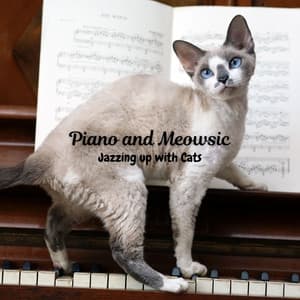 Piano and Meowsic: Jazzing up with Cats - PianoDreams