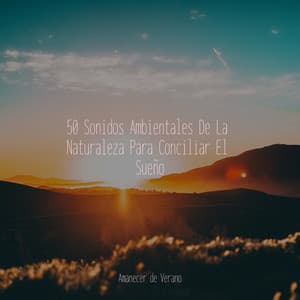 50 Sonidos Ambientales De La Naturaleza Para Conciliar El Sueño - kinderliedjes