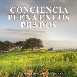 Conciencia Plena En Los Prados: Relajación En El Abrazo De La Naturaleza - Medidas conscientes