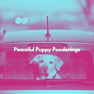Peaceful Puppy Ponderings - Calming for Dogs