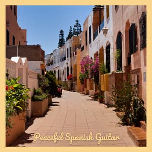 Peaceful Spanish Guitar - Agustín Barrios Mangoré