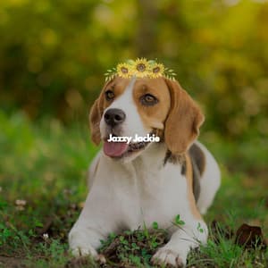 Jazzy Jackie - Harlem Jazz Guitar Quartet