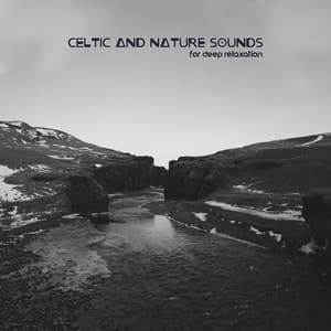 Celtic and Nature Sounds for Deep Relaxation – Music for Relieve Stress, Deep Silence of Mind - Relieving Stress Music Collection