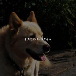 わんこのベッドタイム - Soft Dinner Music