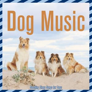 Dog Music - Soothing Sleep Songs for Dogs - Dog Music