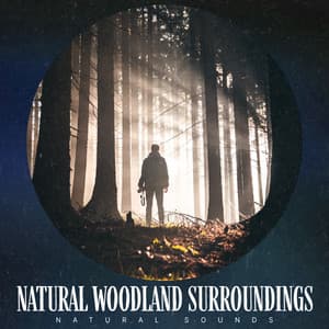 Natural Woodland Surroundings - Natural Sounds