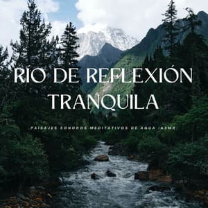 Río De Reflexión Tranquila: Paisajes Sonoros Meditativos De Agua - Academia de relajación ASMR