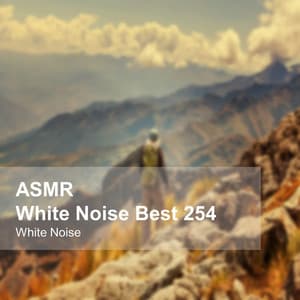 White Noise ASMR Best 254 - White Noise