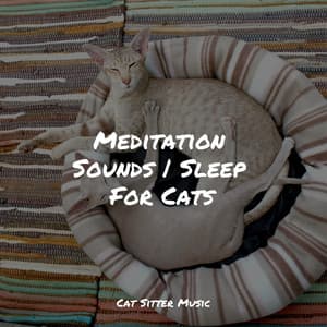 Meditation Sounds | Sleep For Cats - Jazz Music for Cats