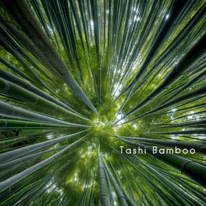 Grounding in Bamboo Forest - Tashi Bamboo