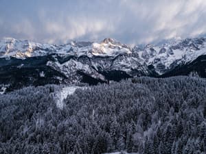 Power of Concentration, Soothe Your Mind, Relax - Nature Sounds