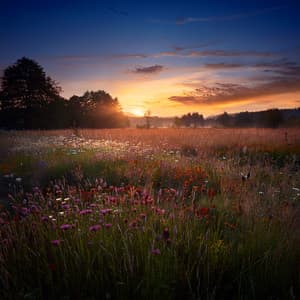 Dreams In Symphony: An Orchestra For Deep Rest - Dreamy Music Moments