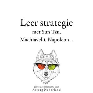 Leer strategie met Sun Tzu, Machiavelli, Napoleon... - Sun Tzu