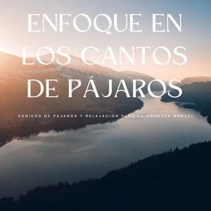 Enfoque En Los Cantos De Pájaros: Sonidos De Pájaros Y Relajación Para La Agudeza Mental - Sonidos De Pajaros