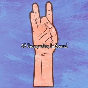 48 Tranquility In Sound - The Yoga Mantra and Chant Music Project
