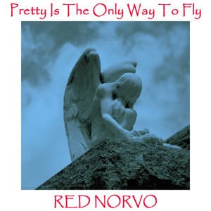 Pretty Is The Only Way To Fly - Red Norvo