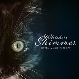 Whiskers Shimmer - Kitten Music Therapy