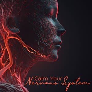 Calm Your Nervous System: Calm Restorative Music - Antistress Music Collection