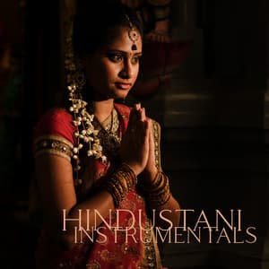 Hindustani Instrumentals - Melodies From India - Hindu Zone