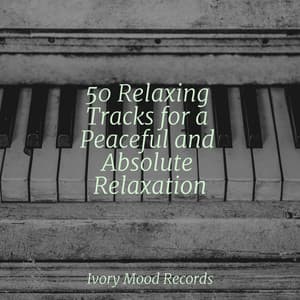 50 Relaxing Tracks for a Peaceful and Absolute Relaxation - Ivory Mood