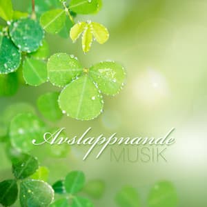 Avslappnande musik: Session av naturljud och instrumental musik - Avslappning ljud klubb