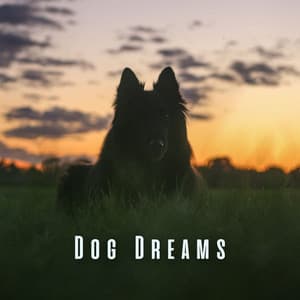 Dog Dreams: Meditative Melodies for Deep Relaxation - Kundalini