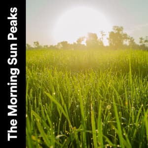 The Morning Sun Peaks - Essential Nature Sounds